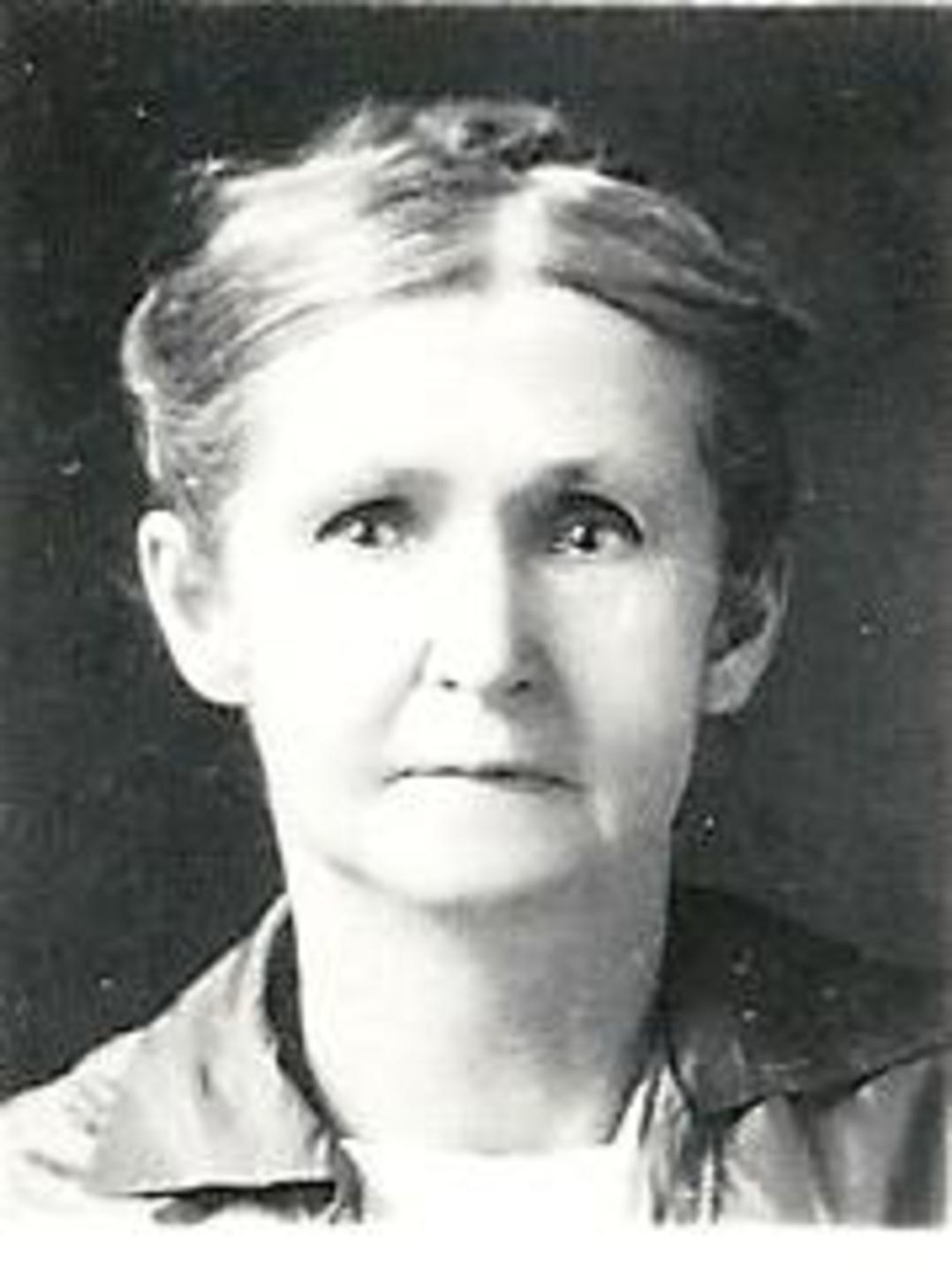 Louisa Arbon (1850 - 1928) Profile